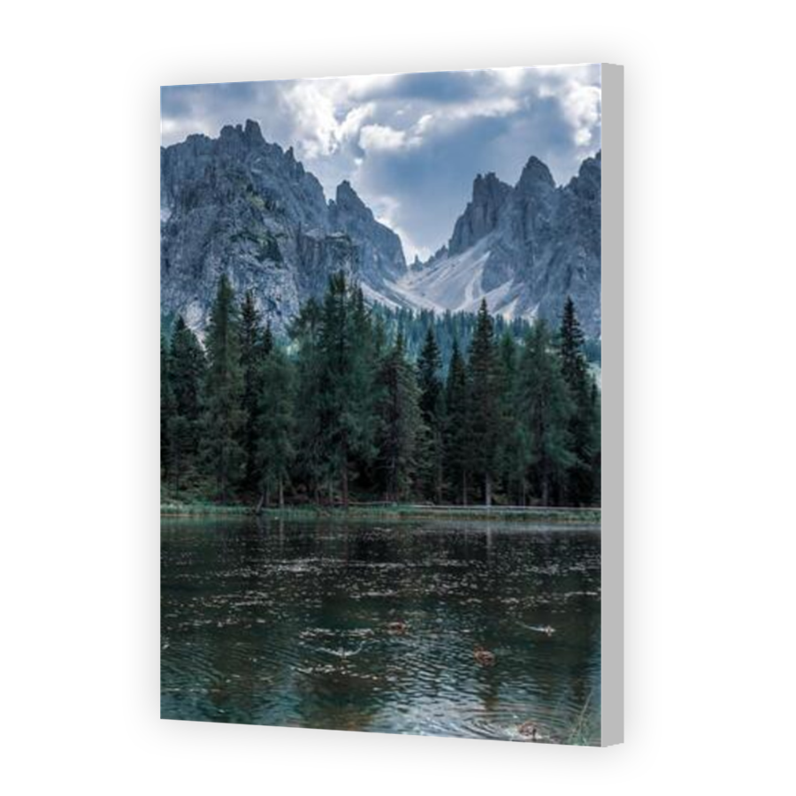 Thumbnail for Canvas - Coloured Canvas Wrap