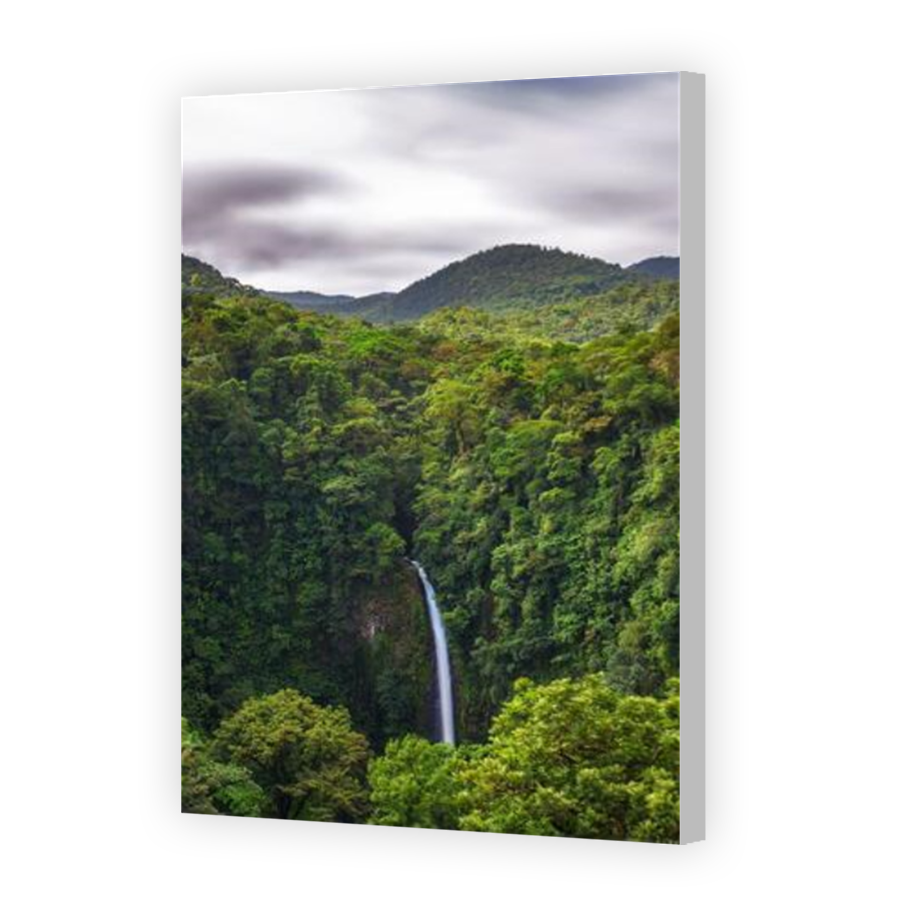 Thumbnail for Canvas - Coloured Canvas Wrap