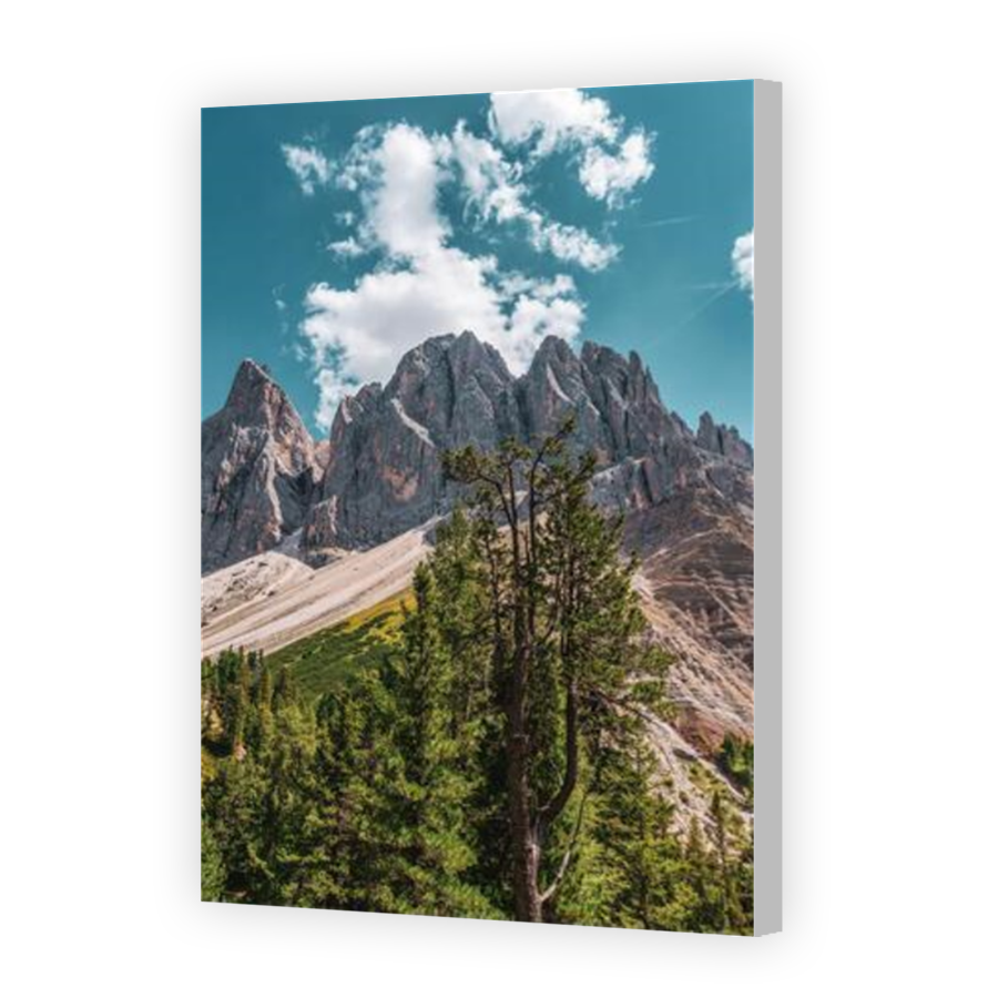 Thumbnail for Canvas - Coloured Canvas Wrap