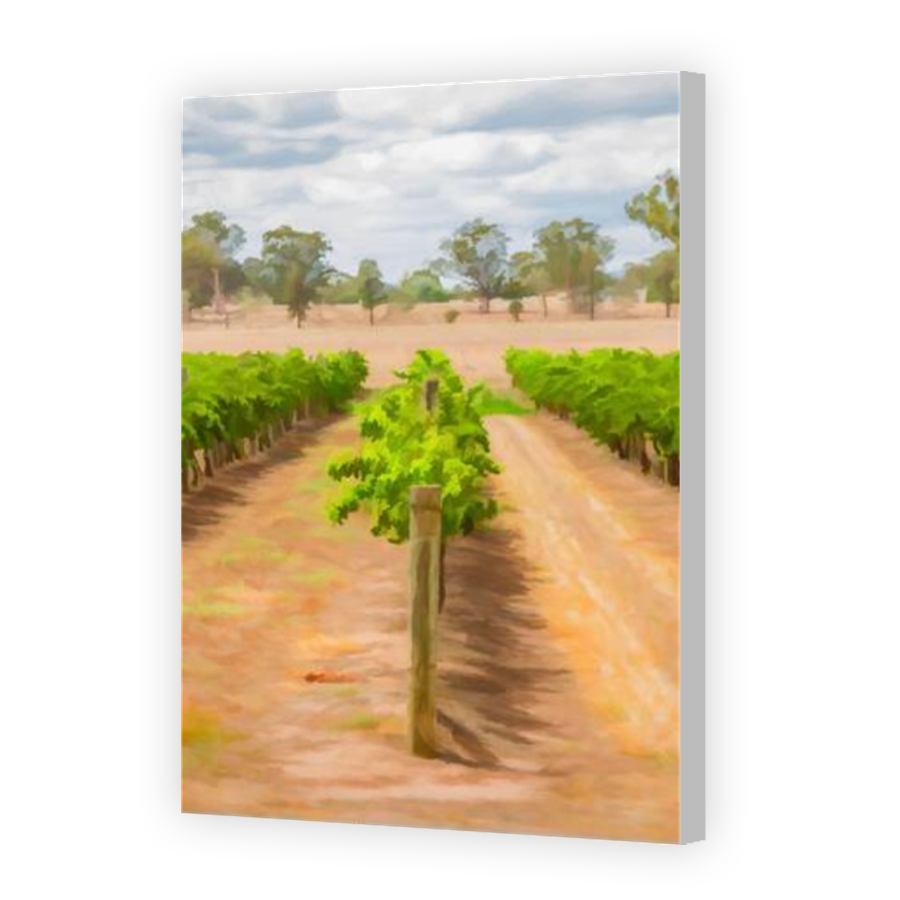 Thumbnail for Canvas - Coloured Canvas Wrap