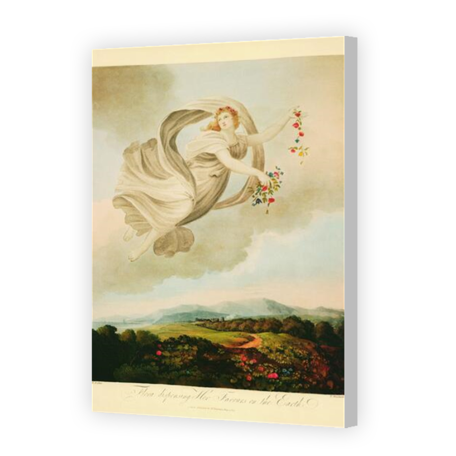 Thumbnail for Canvas - Coloured Canvas Wrap