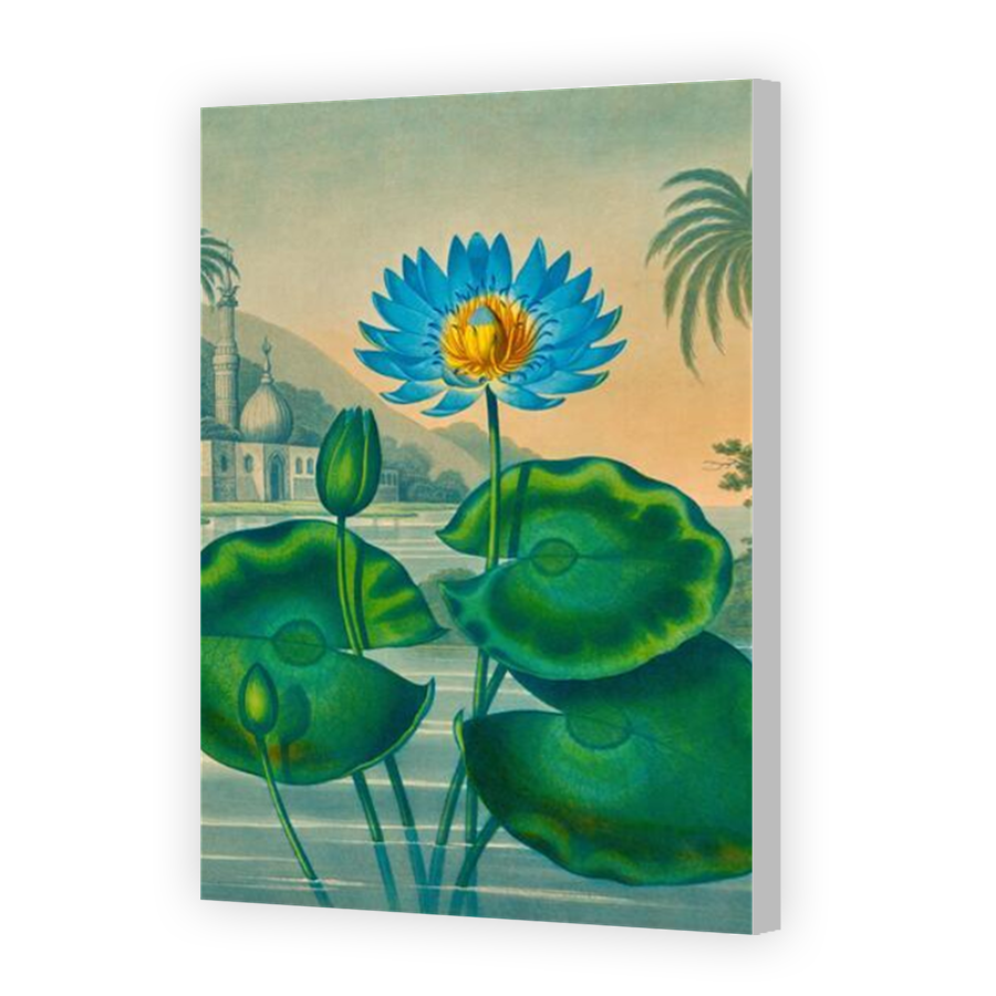 Thumbnail for Canvas - Coloured Canvas Wrap