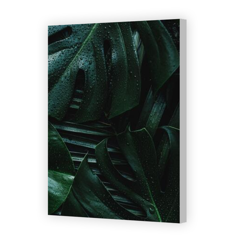 Thumbnail for Canvas - Coloured Canvas Wrap