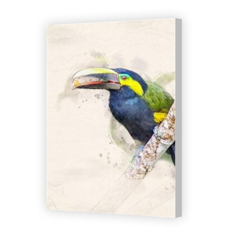 Thumbnail for Canvas - Coloured Canvas Wrap