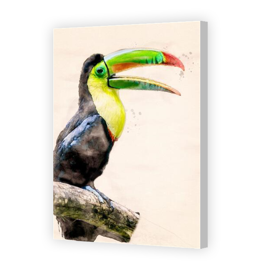 Thumbnail for Canvas - Coloured Canvas Wrap