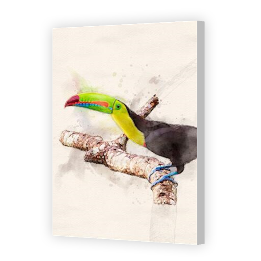 Thumbnail for Canvas - Coloured Canvas Wrap