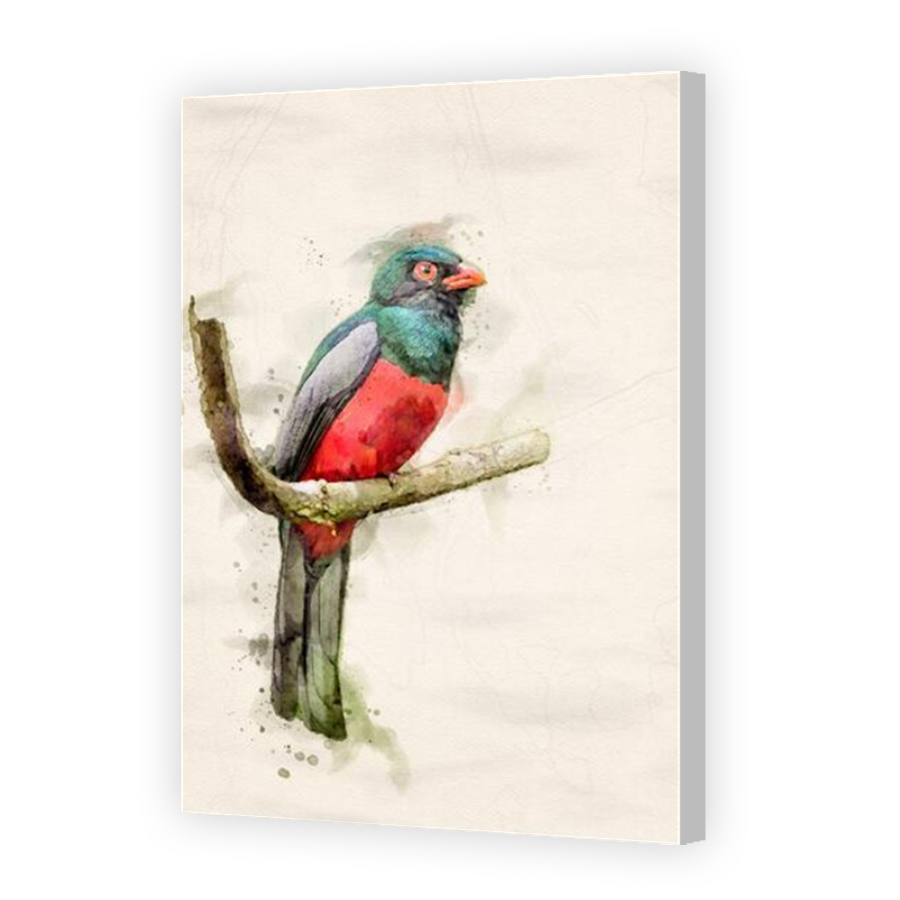 Thumbnail for Canvas - Coloured Canvas Wrap