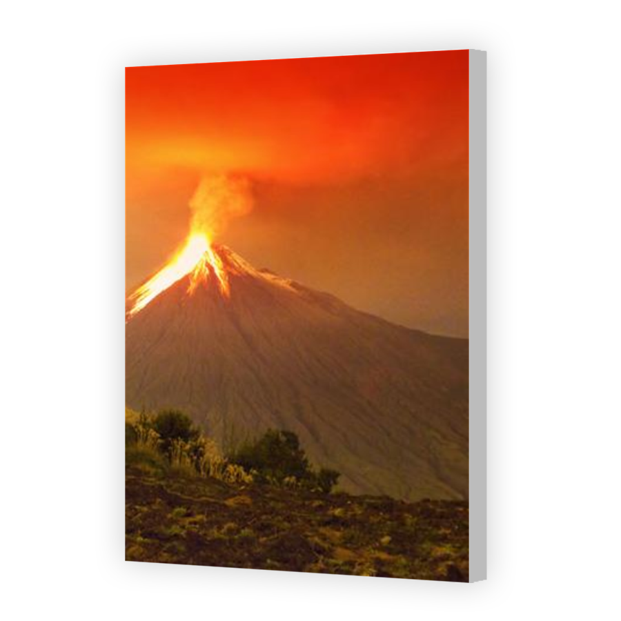 Thumbnail for Canvas - Coloured Canvas Wrap