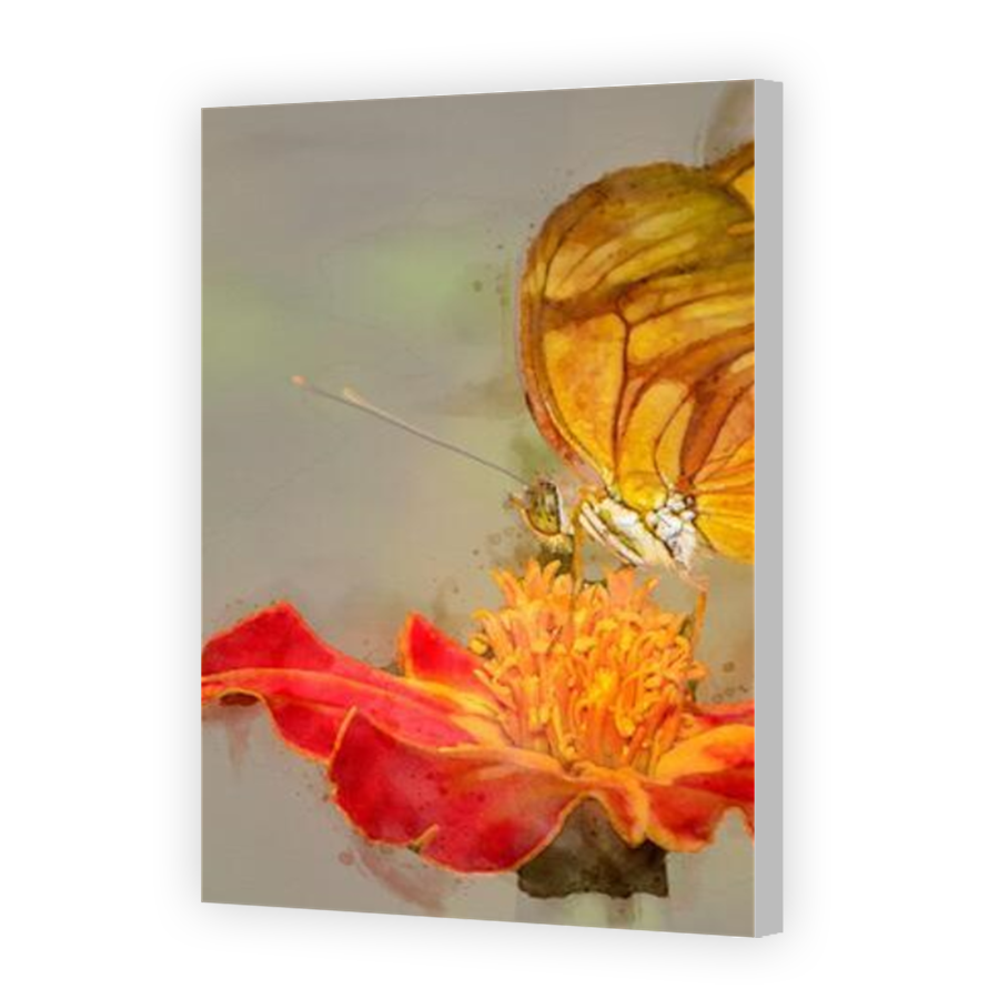Thumbnail for Canvas - Coloured Canvas Wrap