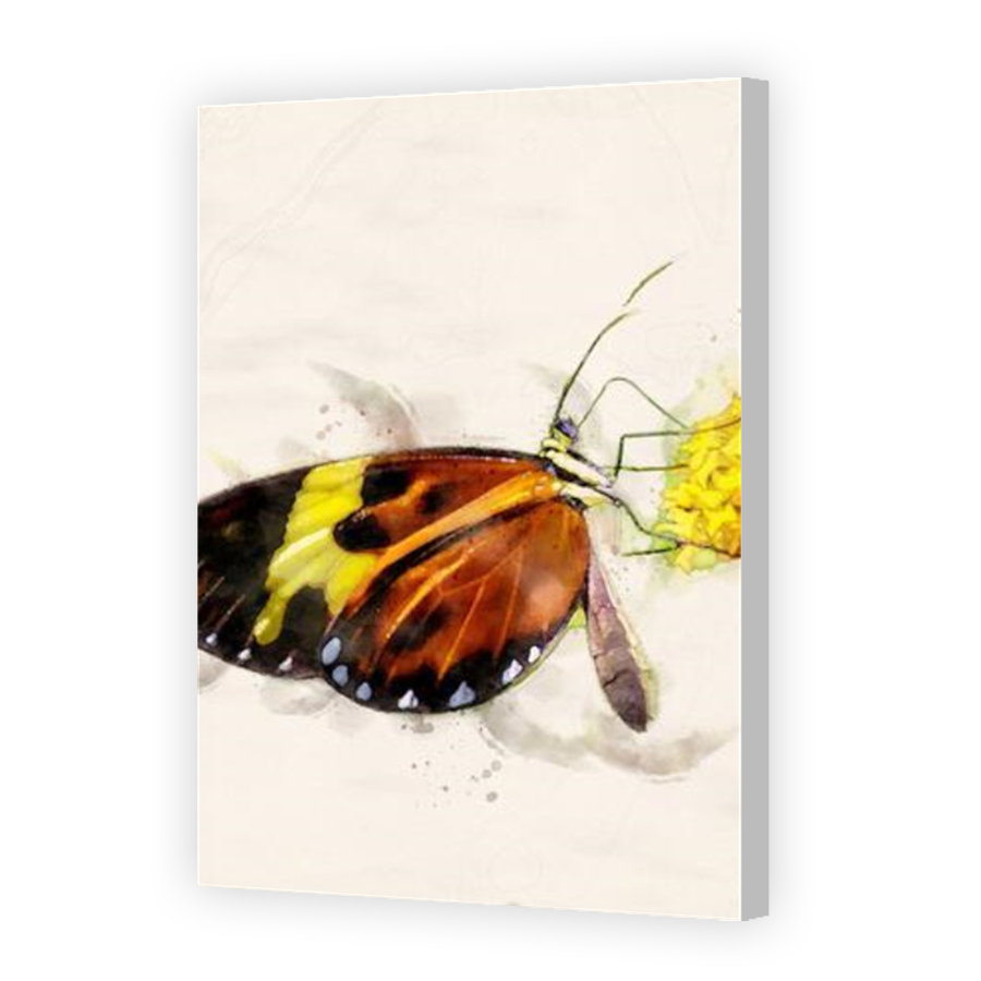 Thumbnail for Canvas - Coloured Canvas Wrap