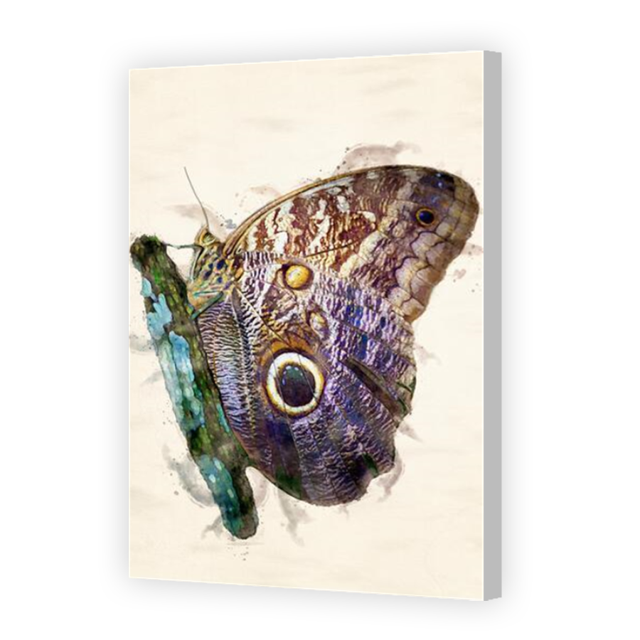 Thumbnail for Canvas - Coloured Canvas Wrap