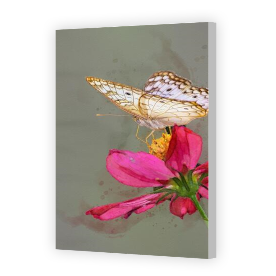 Thumbnail for Canvas - Coloured Canvas Wrap