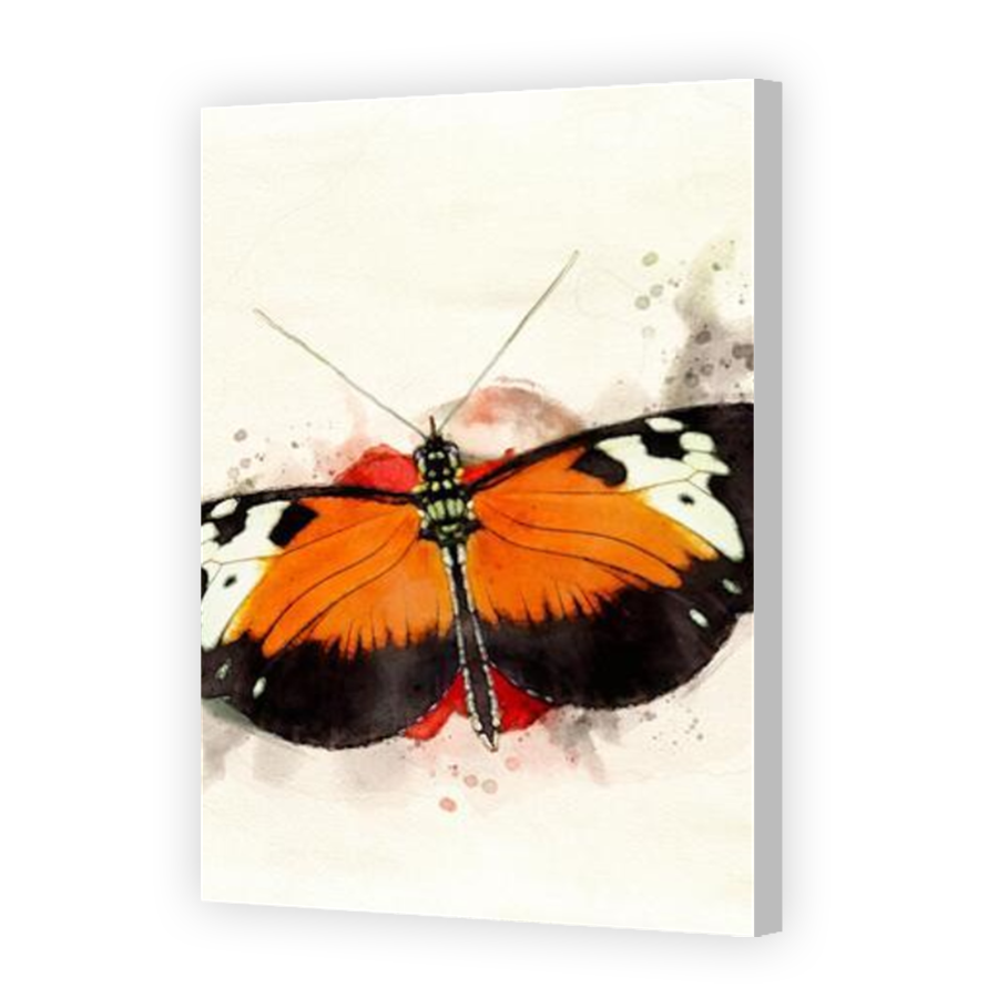 Thumbnail for Canvas - Coloured Canvas Wrap