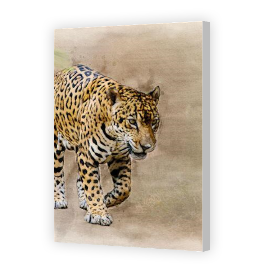 Thumbnail for Canvas - Coloured Canvas Wrap