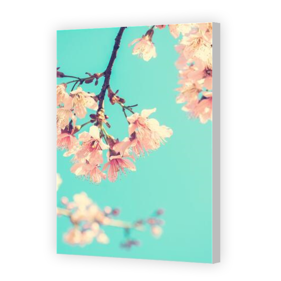 Thumbnail for Canvas - Coloured Canvas Wrap