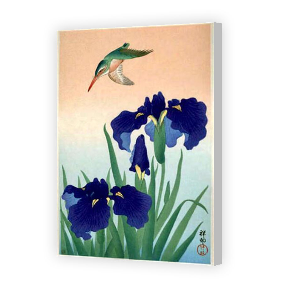 Thumbnail for Canvas - Coloured Canvas Wrap