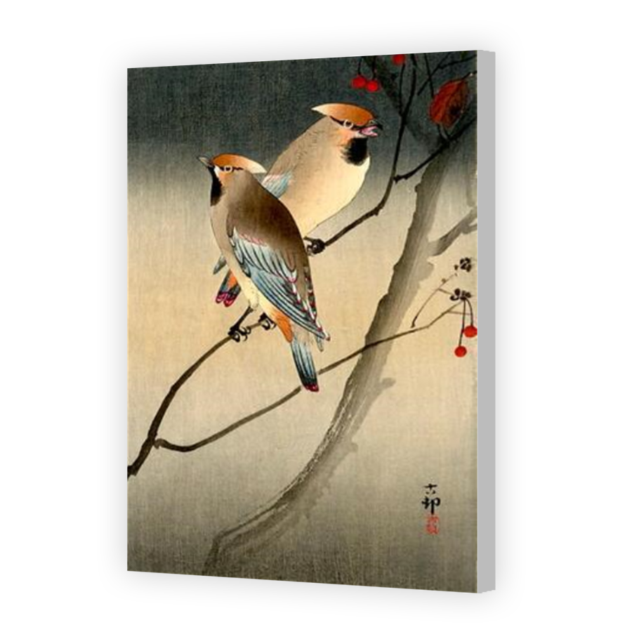 Thumbnail for Canvas - Coloured Canvas Wrap