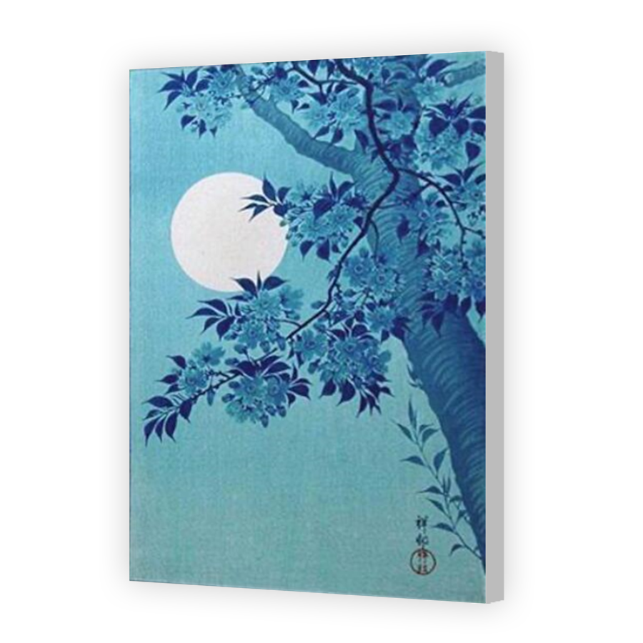Thumbnail for Canvas - Coloured Canvas Wrap