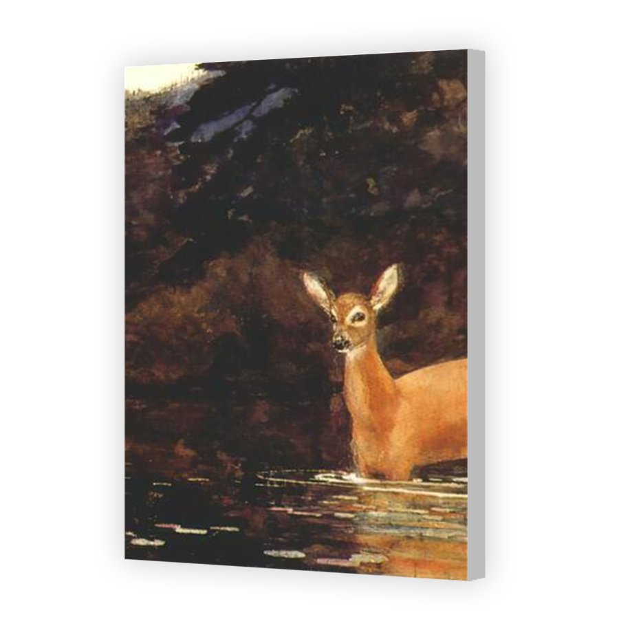 Thumbnail for Canvas - Coloured Canvas Wrap
