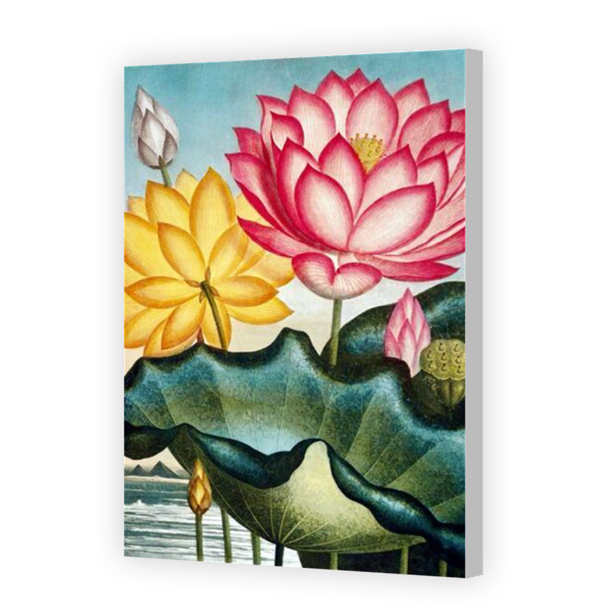 Thumbnail for Canvas - Coloured Canvas Wrap