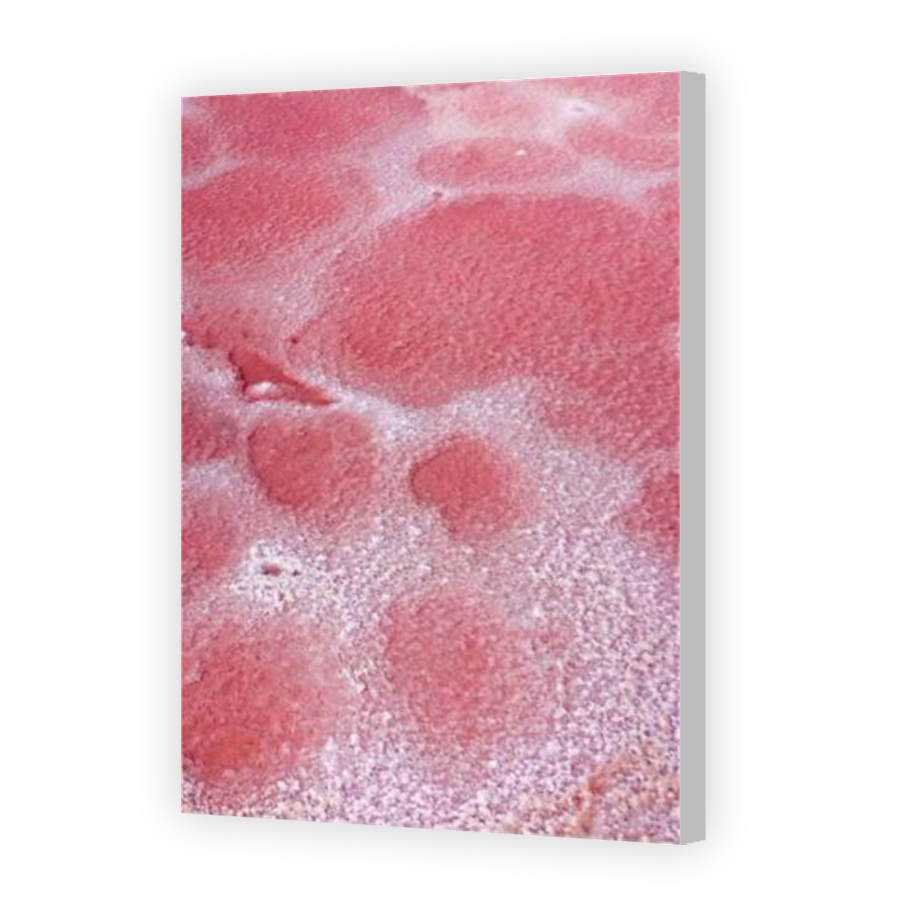 Thumbnail for Canvas - Coloured Canvas Wrap