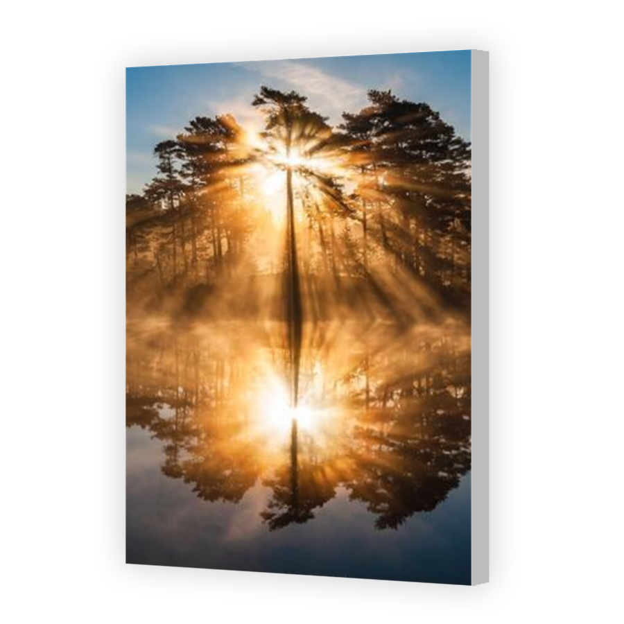 Thumbnail for Canvas - Coloured Canvas Wrap