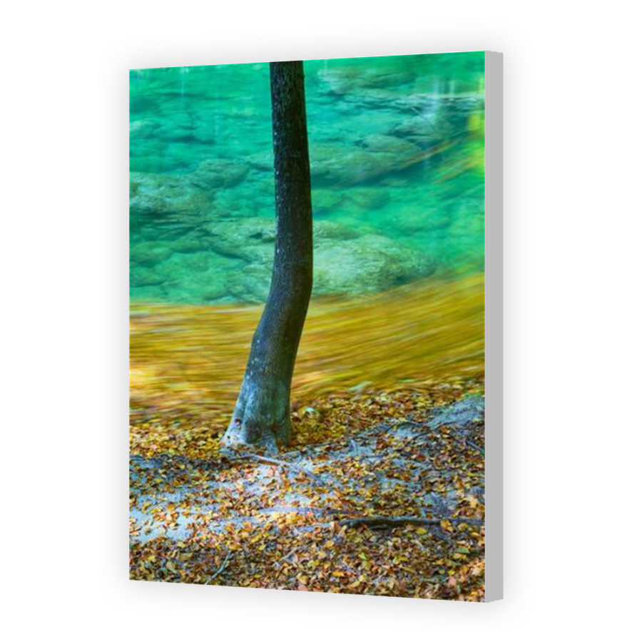 Thumbnail for Canvas - Coloured Canvas Wrap