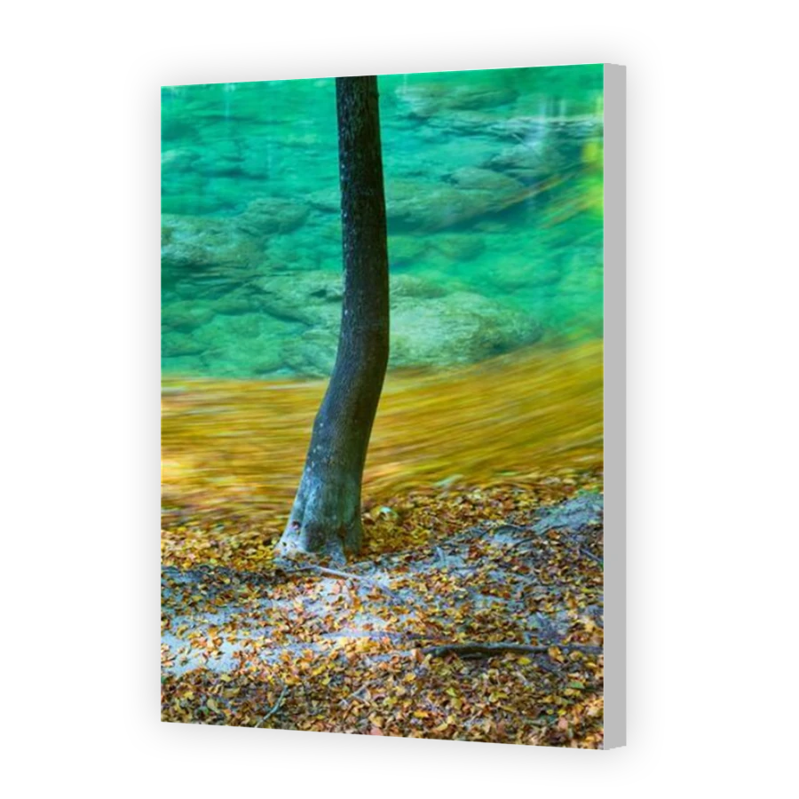 Thumbnail for Canvas - Coloured Canvas Wrap