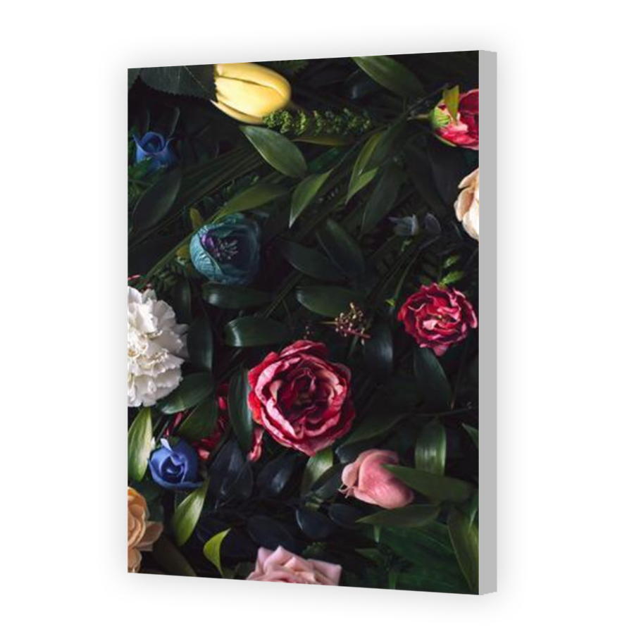 Thumbnail for Canvas - Coloured Canvas Wrap