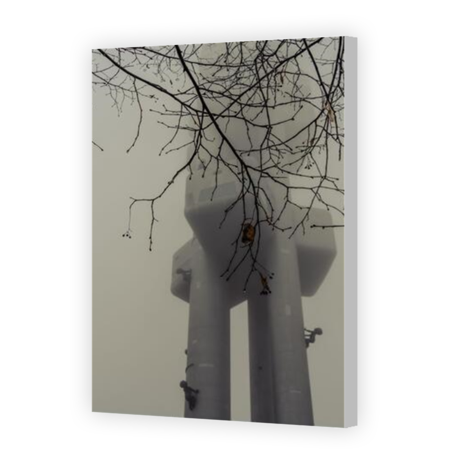 Thumbnail for Canvas - Coloured Canvas Wrap