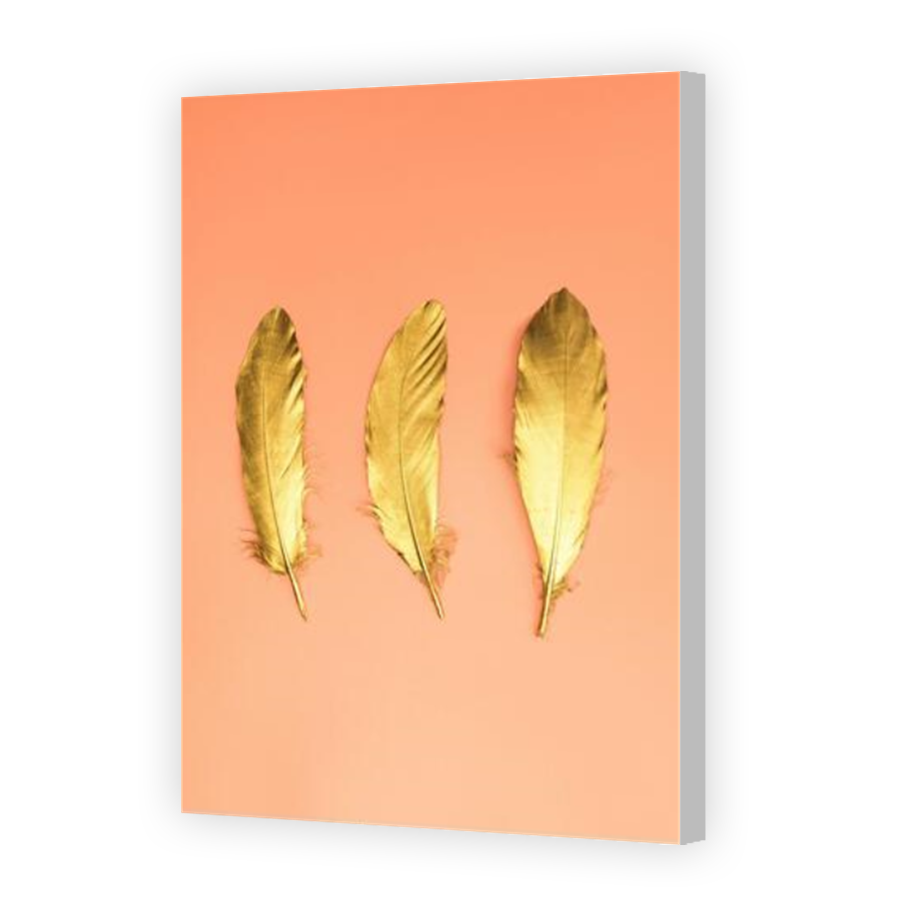 Thumbnail for Canvas - Coloured Canvas Wrap