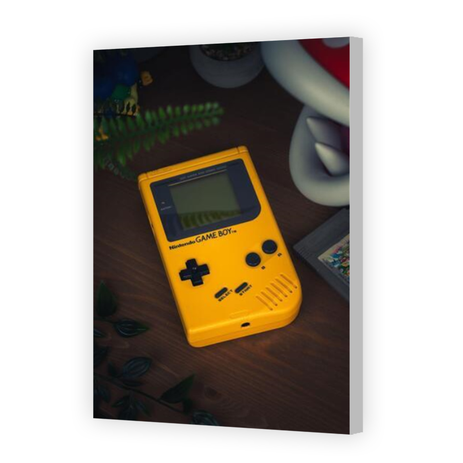 Thumbnail for Canvas - Coloured Canvas Wrap