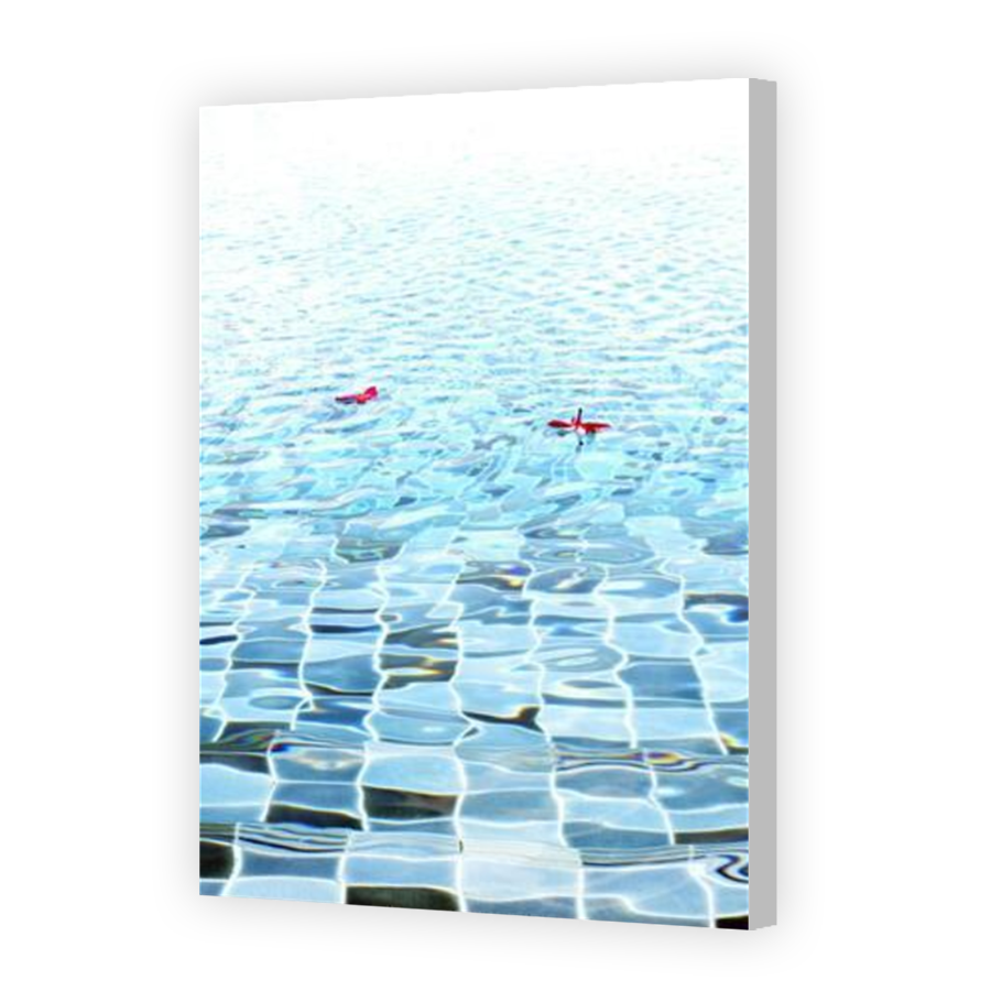 Thumbnail for Canvas - Coloured Canvas Wrap