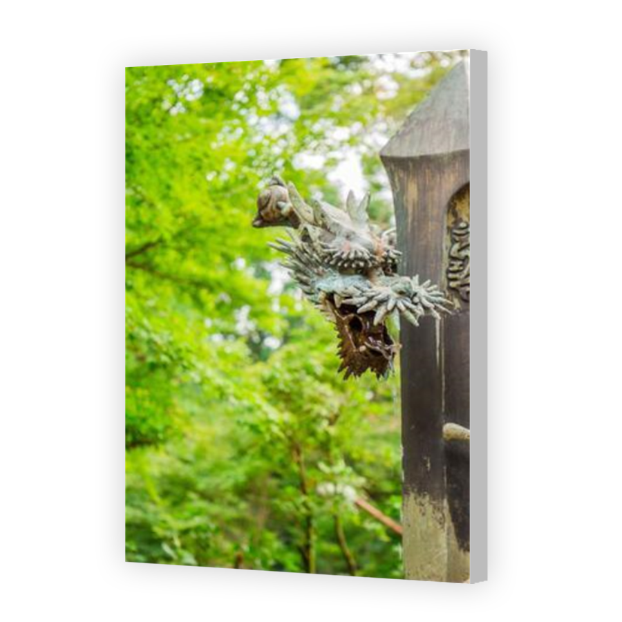 Thumbnail for Canvas - Coloured Canvas Wrap