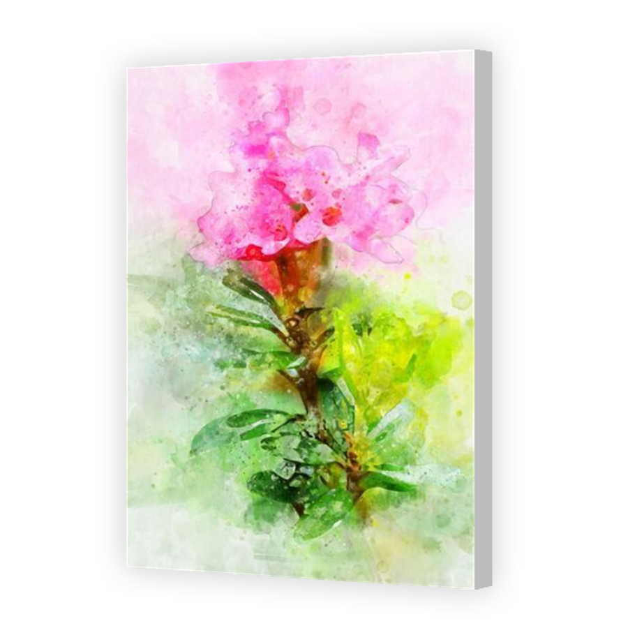 Thumbnail for Canvas - Coloured Canvas Wrap