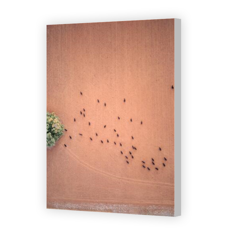 Thumbnail for Canvas - Coloured Canvas Wrap