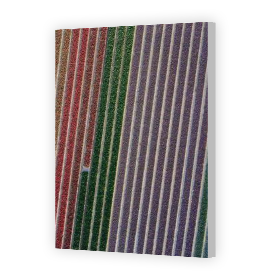 Thumbnail for Canvas - Coloured Canvas Wrap
