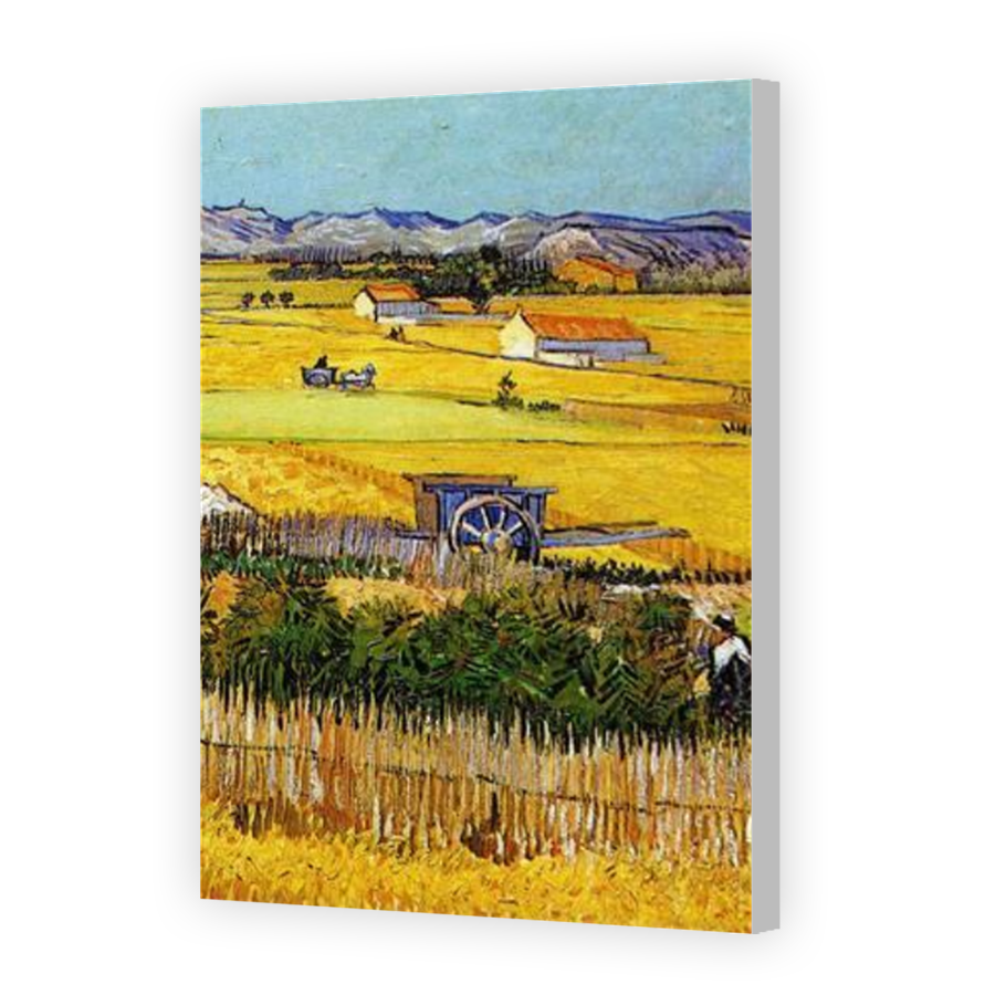 Thumbnail for Canvas - Coloured Canvas Wrap