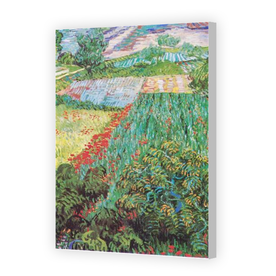 Thumbnail for Canvas - Coloured Canvas Wrap