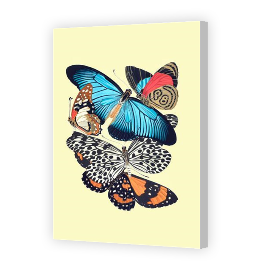Thumbnail for Canvas - Coloured Canvas Wrap