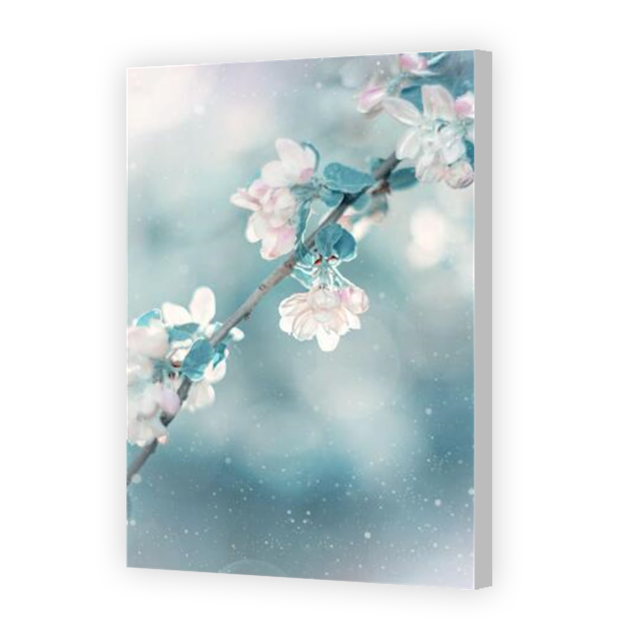 Thumbnail for Canvas - Coloured Canvas Wrap