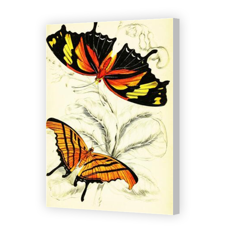 Thumbnail for Canvas - Coloured Canvas Wrap