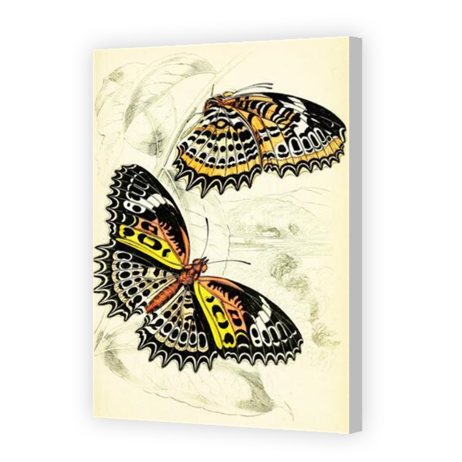 Thumbnail for Canvas - Coloured Canvas Wrap