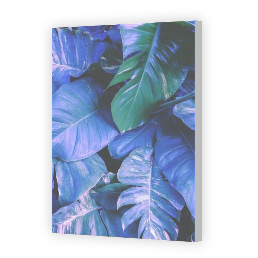 Thumbnail for Canvas - Coloured Canvas Wrap