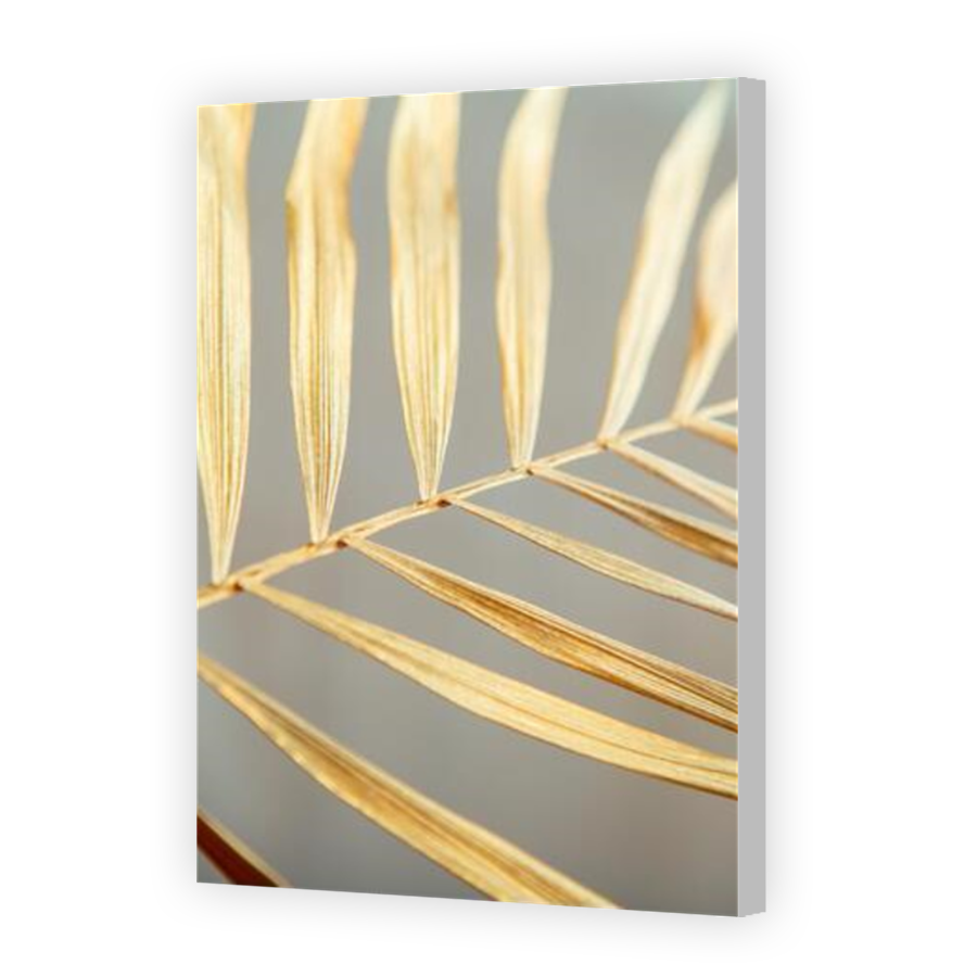 Thumbnail for Canvas - Coloured Canvas Wrap