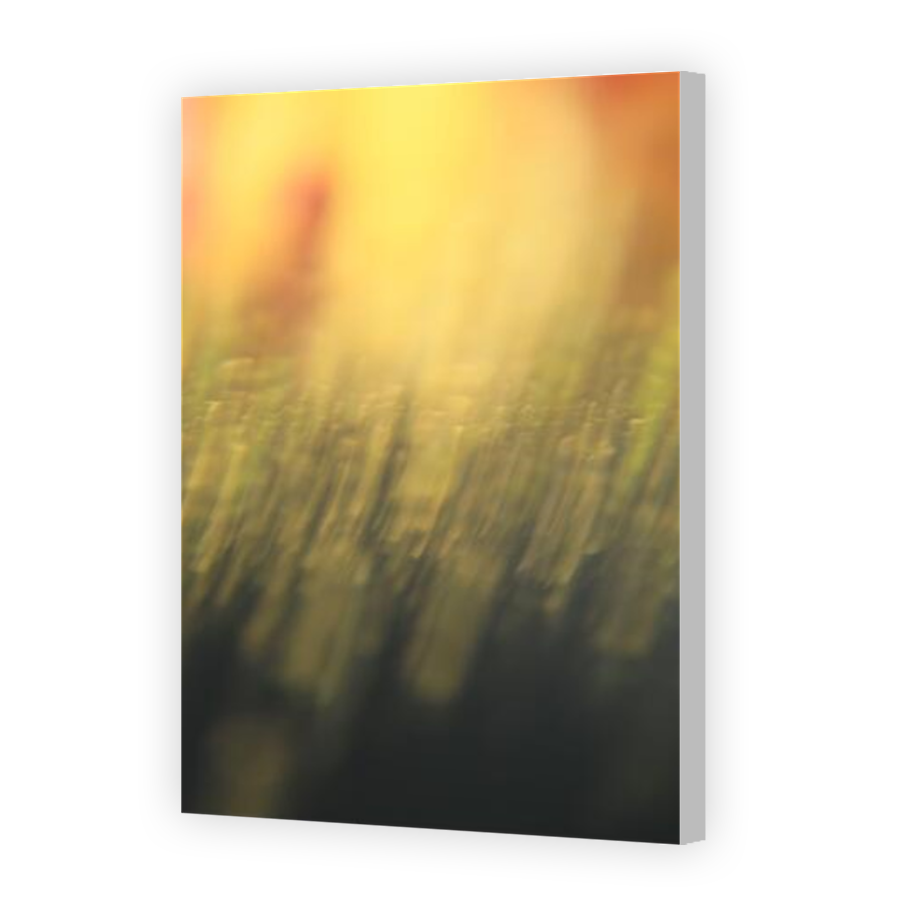 Thumbnail for Canvas - Coloured Canvas Wrap