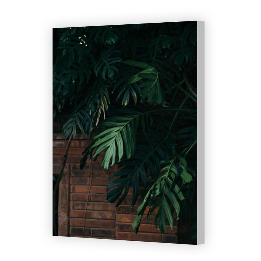 Thumbnail for Canvas - Coloured Canvas Wrap