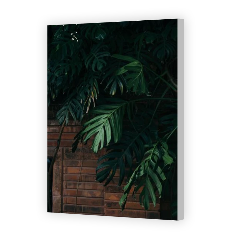 Thumbnail for Canvas - Coloured Canvas Wrap