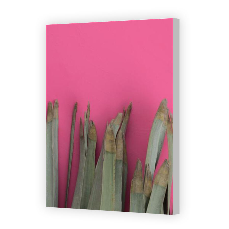 Thumbnail for Canvas - Coloured Canvas Wrap