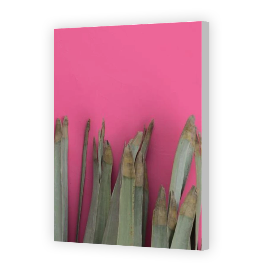 Thumbnail for Canvas - Coloured Canvas Wrap
